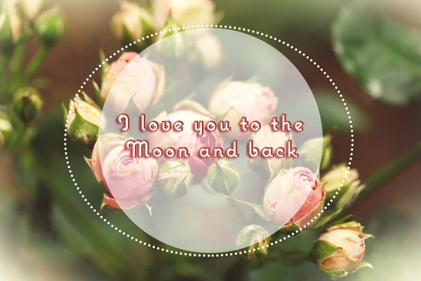 Beautiful roses on green bush, greeting card — Stock Photo, Image