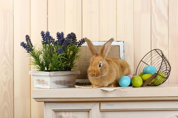 Cute red rabbit with Easter eggs on shelf on wooden wall background — Stock Photo, Image