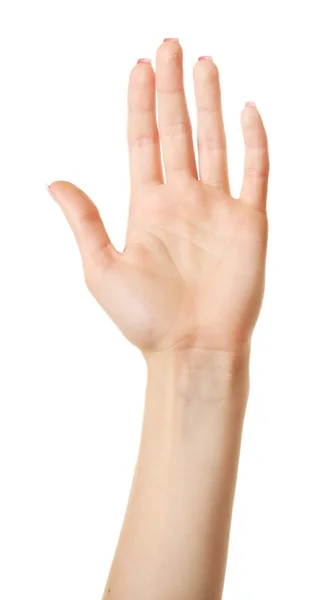 Wijfje hand geïsoleerd op wit — Stockfoto