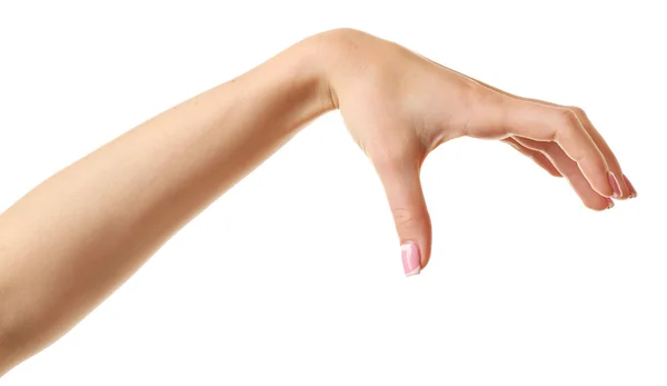 Женская рука изолирована на белом — стоковое фото