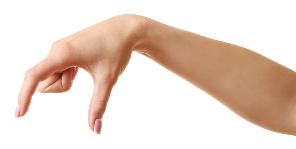 Fehér alapon izolált női kéz — Stock Fotó