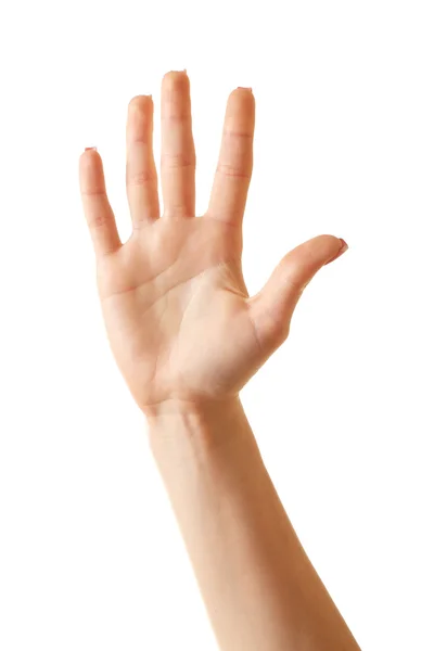 Wijfje hand geïsoleerd op wit — Stockfoto