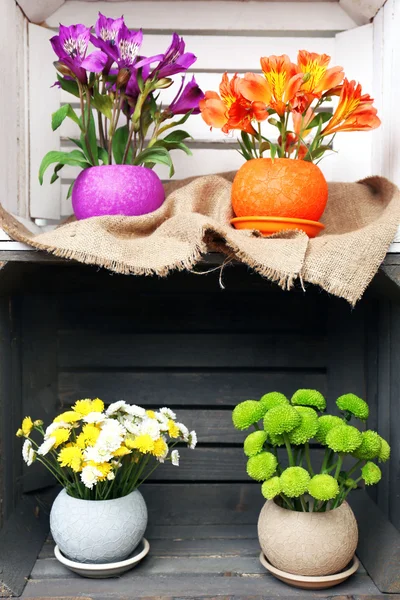 Belles fleurs en pots dans une caisse en bois — Photo