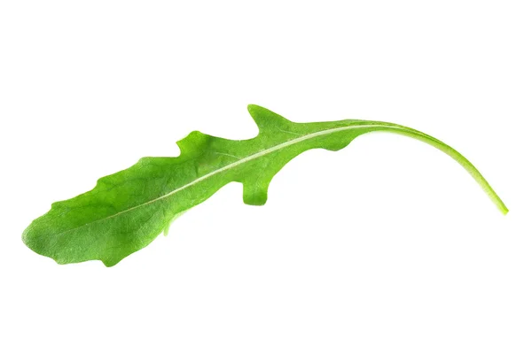 Hoja de rúcula verde aislada en blanco —  Fotos de Stock