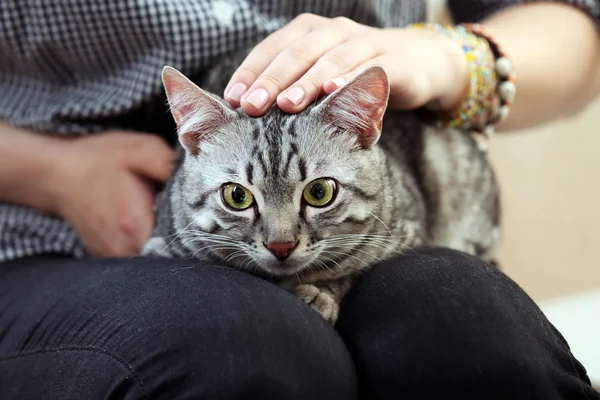 Mulher segurando gato bonito — Fotografia de Stock