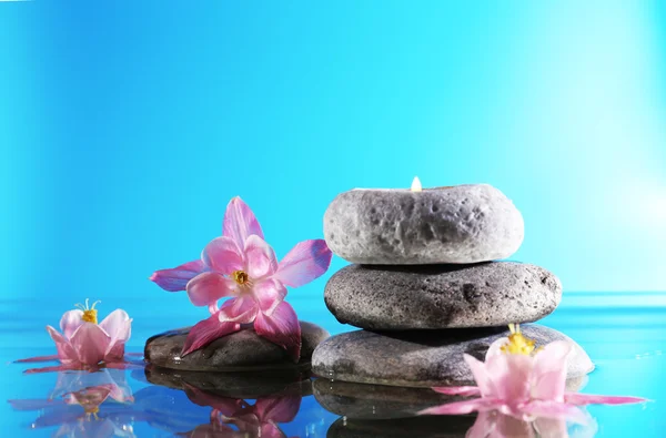 Piedras de spa con flores sobre fondo azul — Foto de Stock