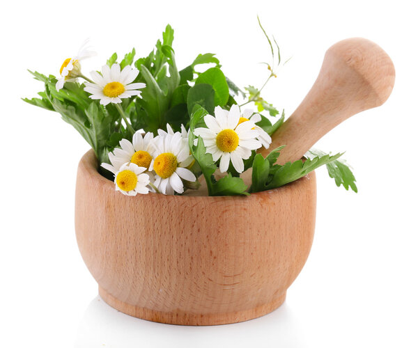 Миномет с травами, выделенными на белом
