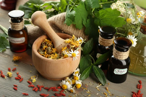 Herbs, berries and flowers — Stock Photo, Image