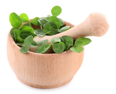 harç üzerine beyaz izole otlar ile