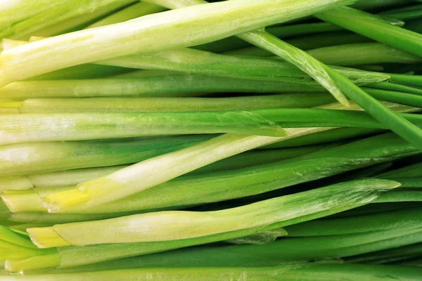 Wild leek, macro view — Stock Photo, Image