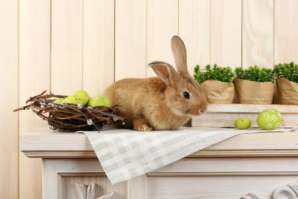 Niedliche rote Kaninchen mit Ostereiern im Regal auf hölzernem Wandhintergrund — Stockfoto