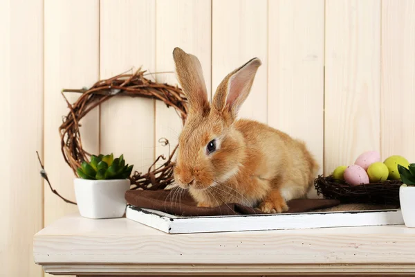 Lindo conejo rojo con huevos de Pascua en estante sobre fondo de pared de madera —  Fotos de Stock