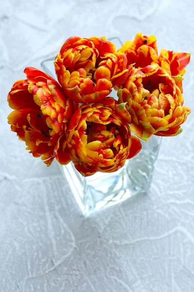 Красивые яркие тюльпаны в стеклянной вазе на сером фоне — стоковое фото