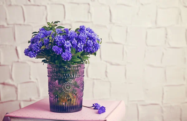 Schöner Strauß Muscari - Hyazinthe in Vase auf Wandhintergrund — Stockfoto