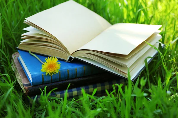 Staplade böcker i gräs, utanför — Stockfoto