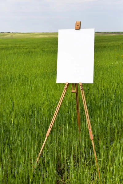 Staffelei mit Leinwand im grünen Feld — Stockfoto