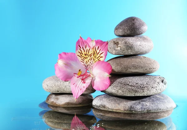 Stoh wellness kameny s květinou — Stock fotografie
