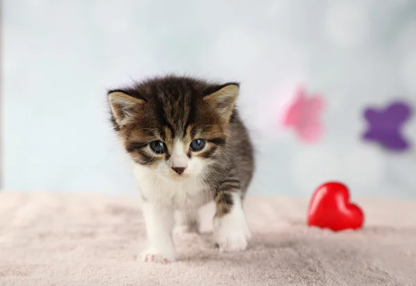 Cute little kitten with red heart on light background — Stock Photo, Image