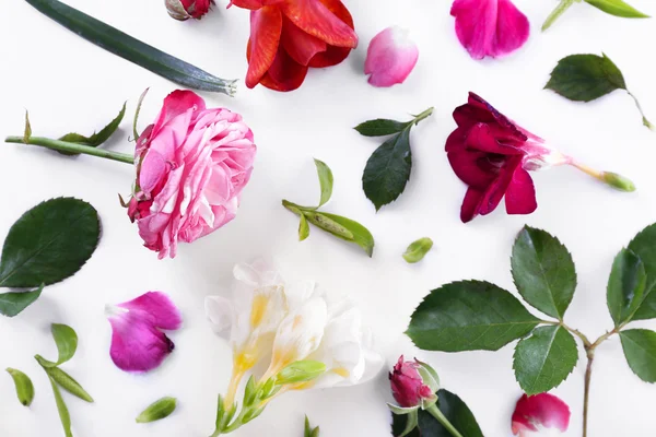 Blätter und Blütenblätter von Frühlingsblumen auf weißem Hintergrund, Nahaufnahme — Stockfoto