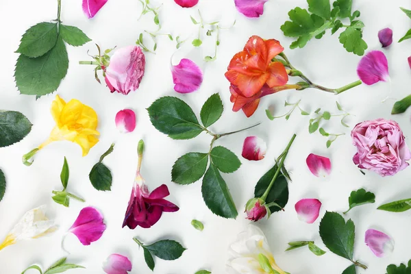 Blätter und Blütenblätter von Frühlingsblumen auf weißem Hintergrund, Nahaufnahme — Stockfoto