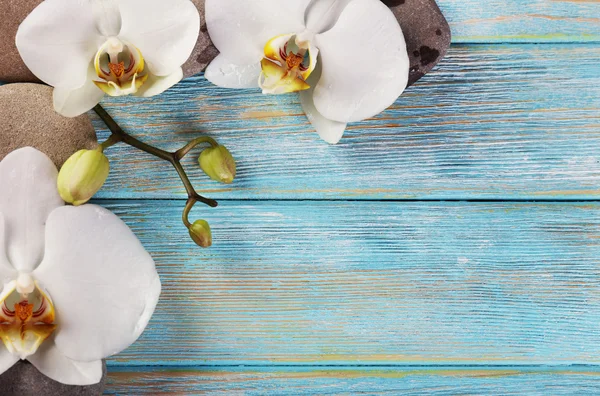 Piedras de spa y flor de orquídea sobre fondo de madera —  Fotos de Stock