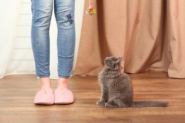 Lindo gatito gris con propietario en el suelo en casa — Foto de Stock