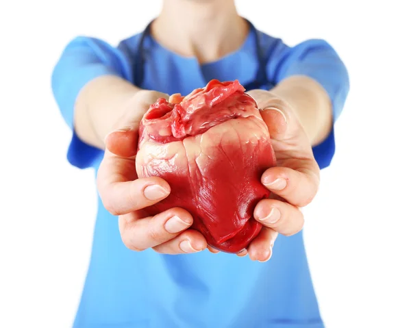 Herz in Arzthänden isoliert auf weiß — Stockfoto