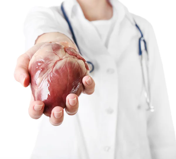 Coração na mão do médico isolado no branco — Fotografia de Stock