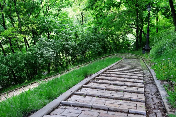 Vicolo parco verde della città — Foto Stock