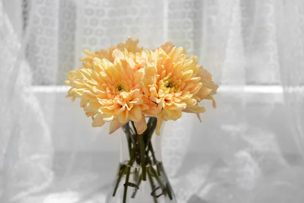 美丽的菊花，在织物背景上的花瓶 — 图库照片