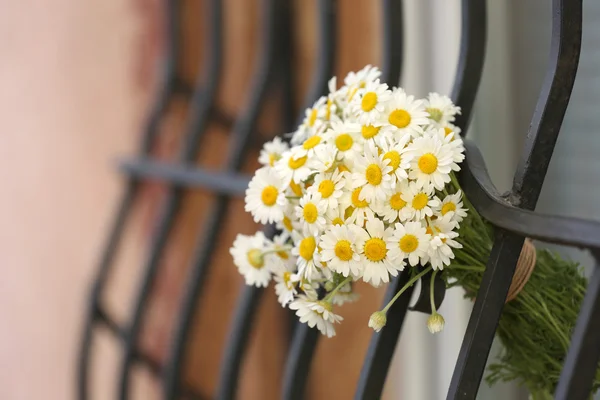 Schöner Strauß Gänseblümchen am Fenster im Freien — Stockfoto