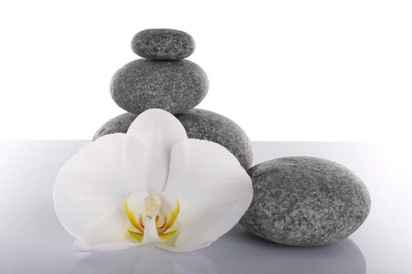 Stapel von Kursteinen mit Orchideenblume isoliert auf weiß — Stockfoto