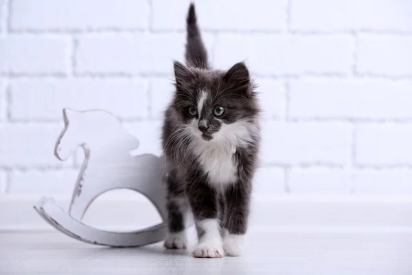 Cute gray kitten plays on floor at home — Stock Photo, Image