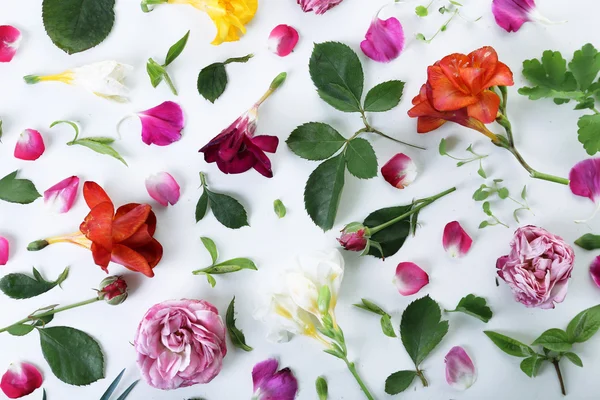 Blätter und Blütenblätter von Frühlingsblumen auf weißem Hintergrund, Nahaufnahme — Stockfoto