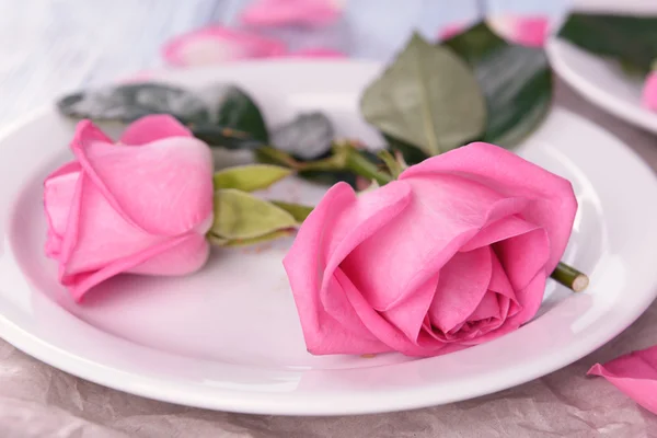 Όμορφο ροζ τριαντάφυλλα σε λευκές πινακίδες, κινηματογράφηση σε πρώτο πλάνο — Φωτογραφία Αρχείου
