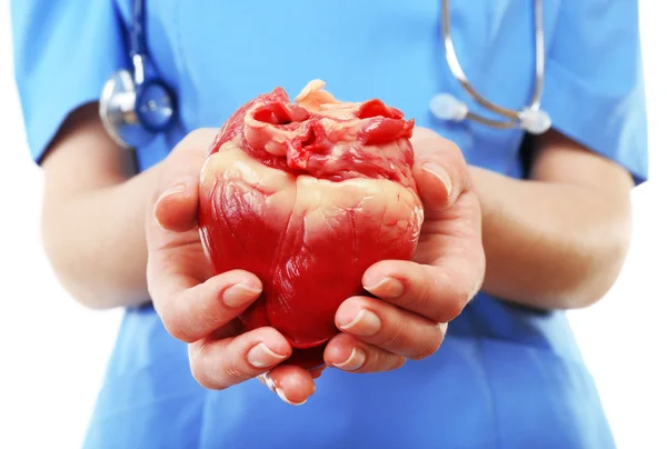 Coração em mãos de médico isolado em branco — Fotografia de Stock