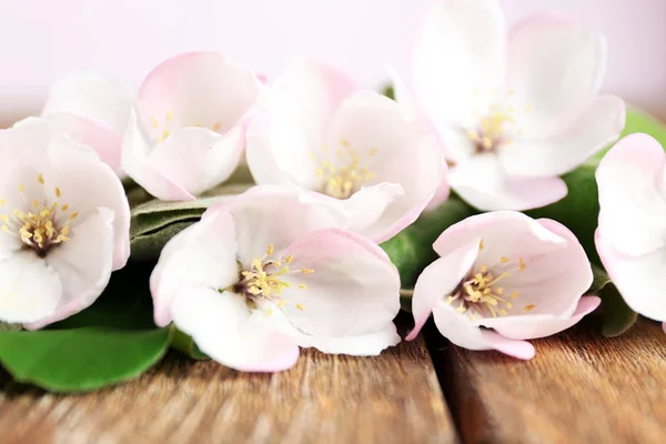 Apfelblüte mit Blättern auf Holztisch — Stockfoto