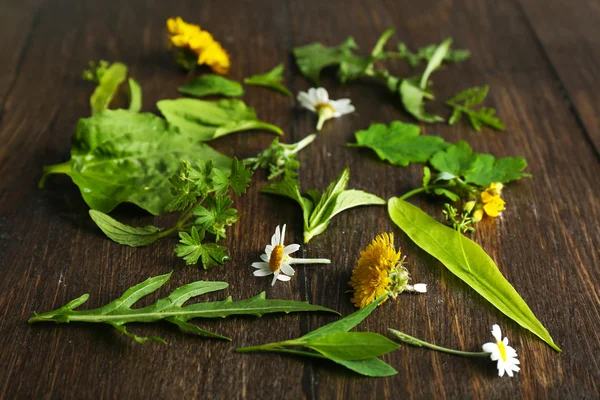 Various medicinal plants on wooden background — Stock Photo, Image