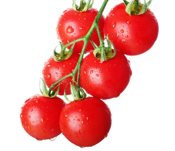 Pęczek świeżych pomidorów na białym tle — Zdjęcie stockowe