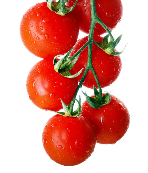 Bunch of fresh tomatoes isolated on white — Stock Photo, Image