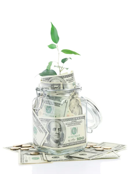 Money in glass jar with plant — Stock Photo, Image