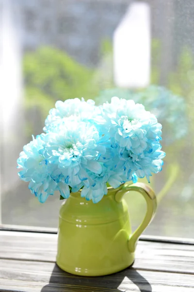 Krásné květiny v džbánu — Stock fotografie