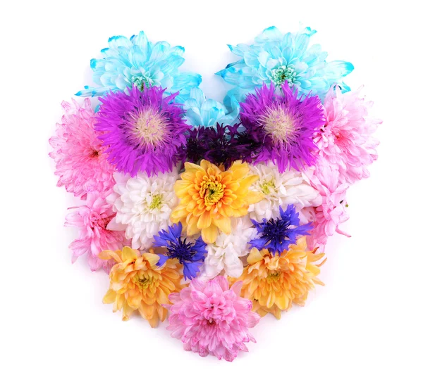Beautiful flowers in heart shape — Stock Photo, Image
