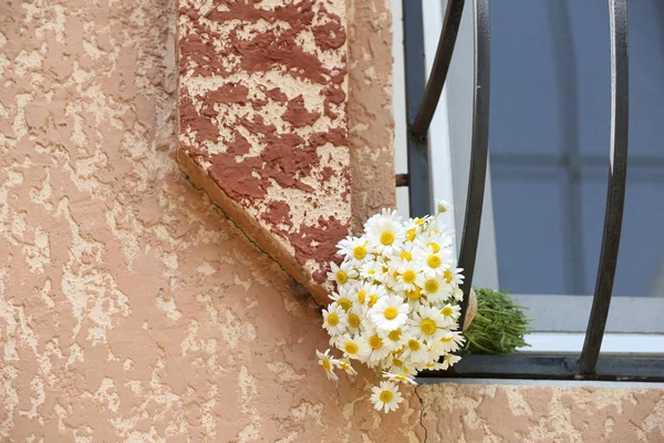 Beautiful bouquet of daisies near window — Stock Photo, Image