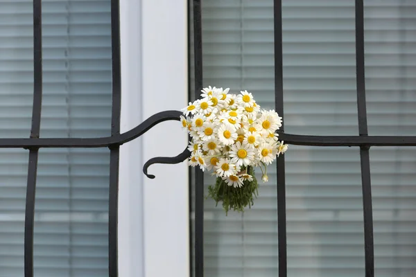 Buchet frumos de margarete lângă fereastră — Fotografie, imagine de stoc