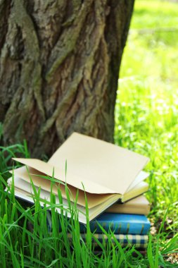 apilados libros en pasto, fuera