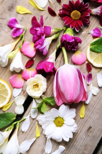 Elvont háttér gyönyörű virágokkal — Stock Fotó