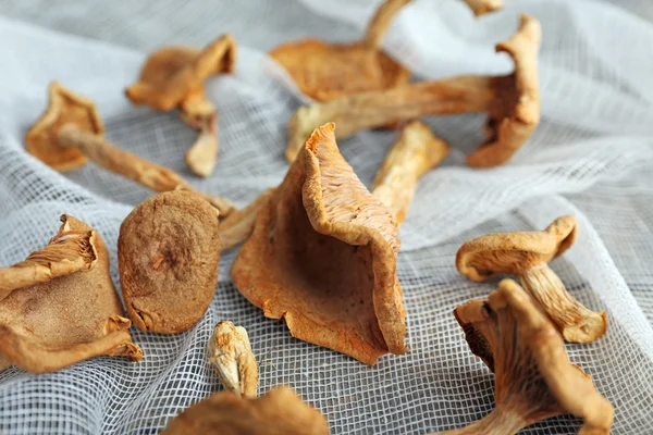 Funghi secchi su tessuto bianco, primo piano — Foto Stock