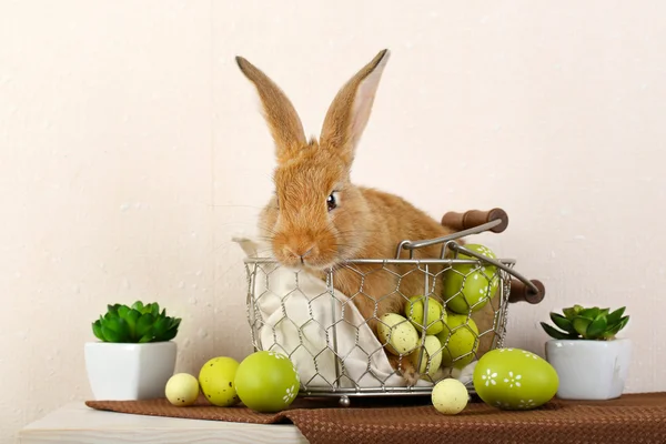Süßes rotes Kaninchen mit Ostereiern — Stockfoto