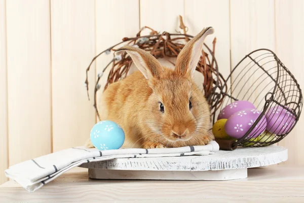 Cute red rabbit with Easter eggs — Stock Photo, Image